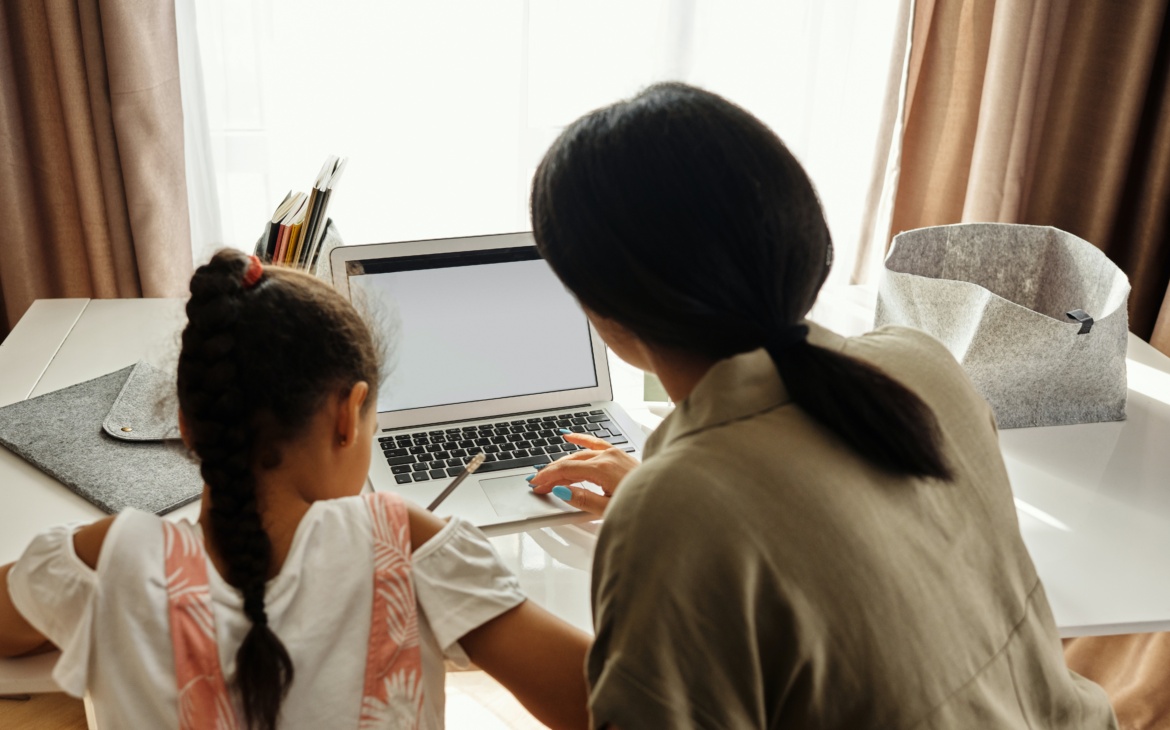 How to Incorporate the Census While E-Learning at Home