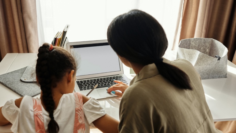How to Incorporate the Census While E-Learning at Home